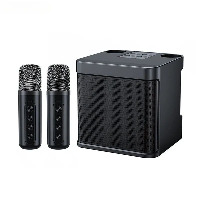 Powerful 10W Wireless Portable Bluetooth Speaker With Dual Microphone Sound Outdoor Family Party Karaoke Subwoofer Boom Box